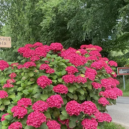 Bois Sainte Anne Varengeville-sur-Mer